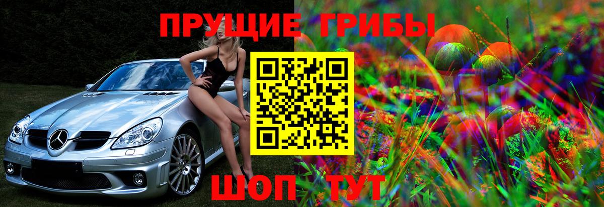 Галлюциногенные грибы Psilocybine cubensis  Вход с VPN  Камень-на-Оби  цена   Псилоцибиновые грибы мухоморы 